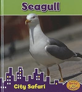 Seagull: City Safari
