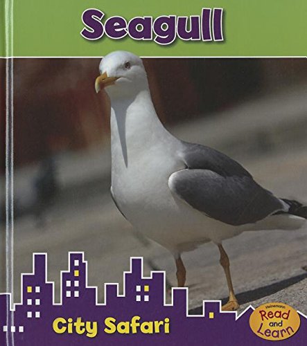 Seagull: City Safari by Isabel Thomas