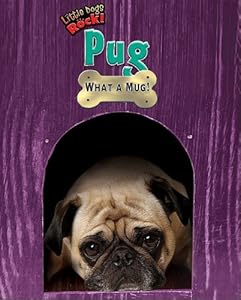 Pug: What a Mug!