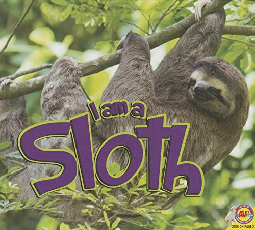 Sloth by Aaron Carr