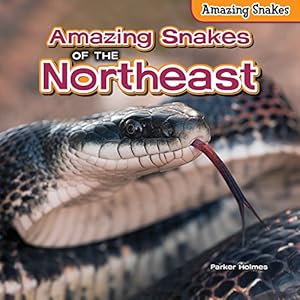 Amazing Snakes of the Northeast
