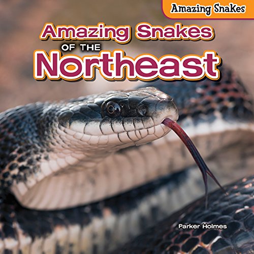 Amazing Snakes of the Northeast by Parker Holmes