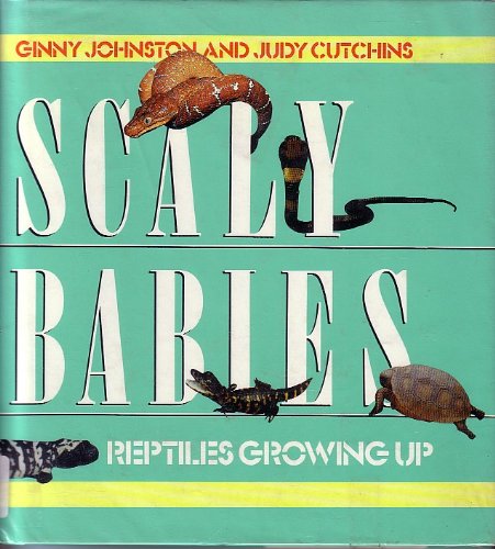 Scaly Babies: Reptiles Growing Up by Ginny Johnston