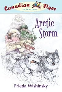 Canadian Flyer Adventures #16: Arctic Storm