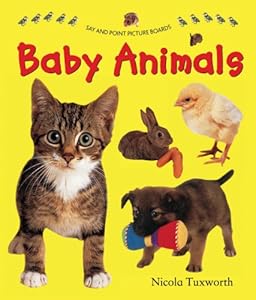 Say And Point Picture Boards: Baby Animals by Nicola Tuxworth