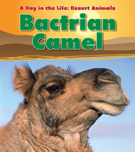 Bactrian Camel by Anita Ganeri