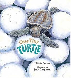 One Tiny Turtle