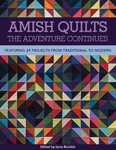 Amish Quilts-The Adventure Continues: Featuring 21 Projects from Traditional to Modern