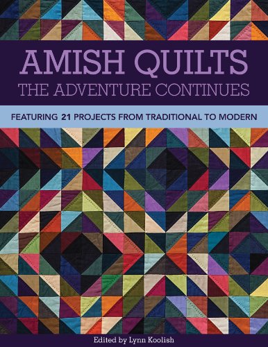 Amish Quilts-The Adventure Continues: Featuring 21 Projects from Traditional to Modern by Kathy Doughty