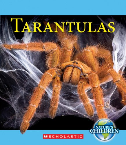 Tarantulas by Vicky Franchino
