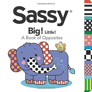 Big! Little!: A Book of Opposites