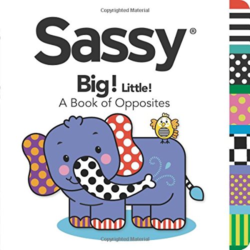 Big! Little!: A Book of Opposites by Dave Aikins 				  						  					 		 			  					  		                  	                   		                  			(Illustrator)