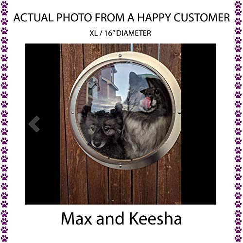 Algopix Similar Product 18 - PETABOO Pet Window Fence Acrylic