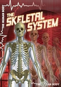 The Skeletal System