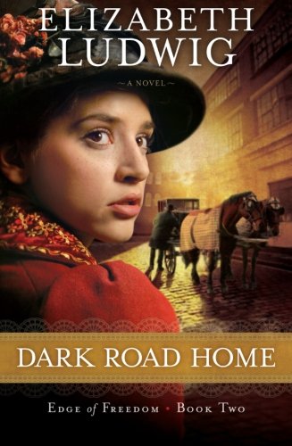 Dark Road Home by Elizabeth Ludwig