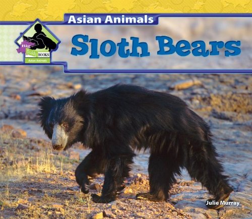 Sloth Bears by Julie Murray