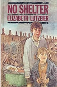 Cascades - "No Shelter" (Collins Cascades) by Elizabeth Lutzeier