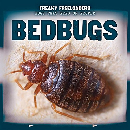 Bedbugs by Joyce Jeffries