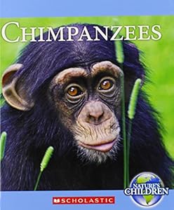 Chimpanzees