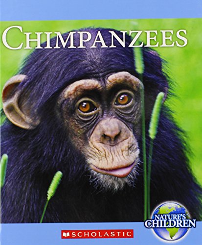 Chimpanzees by Katie Marsico