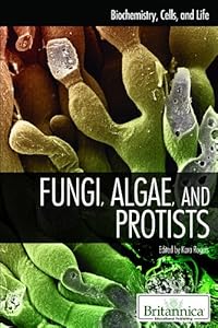 Fungi, Algae, and Protists