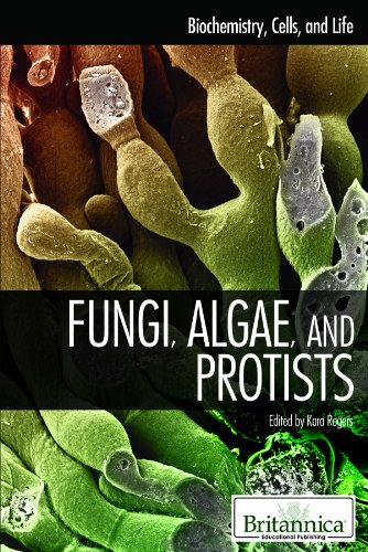 Fungi, Algae, and Protists by Kara Rogers  (Editor)