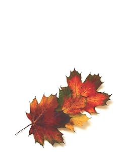 My Favorite Season Journal: 8.5X11" 184 blank lined pages - Autumn/Fall & Harvest themed gift journal for women and men for writing (8.5X11" My Favorite Season Journals) by Autumn Fall Seasonal