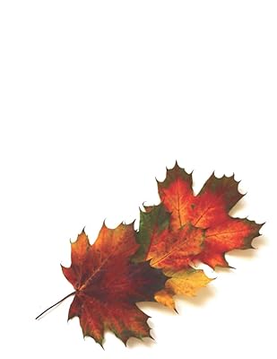 My Favorite Season Journal: 8.5X11" 184 blank lined pages - Autumn/Fall & Harvest themed gift journal for women and men for writing (8.5X11" My Favorite Season Journals)