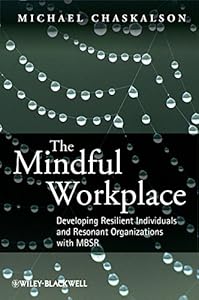 The Mindful Workplace: Developing Resilient Individuals and Resonant Organizations with MBSR
