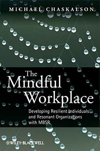 The Mindful Workplace: Developing Resilient Individuals and Resonant Organizations with MBSR by Michael Chaskalson
