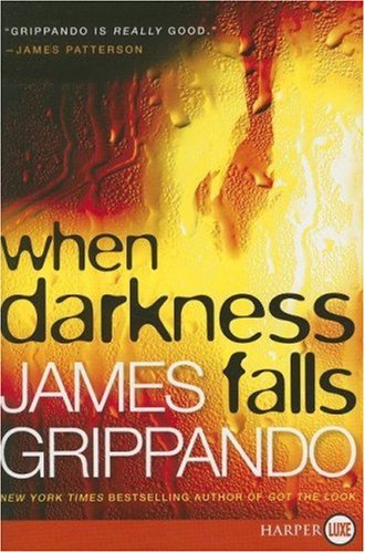 When Darkness Falls by James Grippando