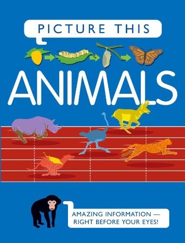 Picture This! Animals by Margaret Hynes