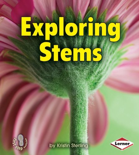 Exploring Stems (First Step Nonfiction - Let's Look at Plants)