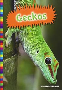 Geckos