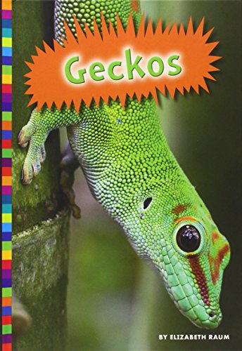 Geckos by Elizabeth Raum