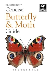 Concise Butterfly &amp; Moth Guide