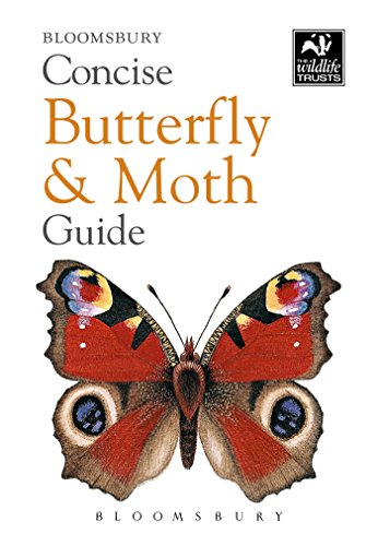 Concise Butterfly &amp; Moth Guide by Bloomsbury