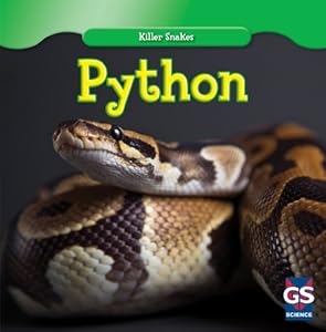 Python