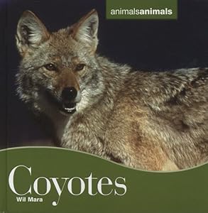 Coyotes Coyotes (Animals Animals)