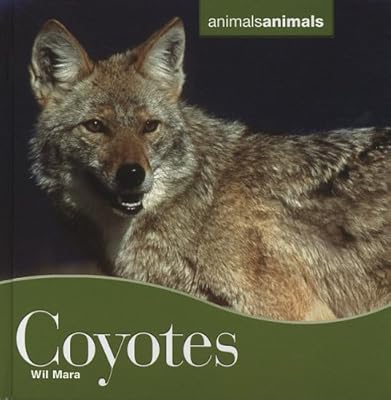 Coyotes Coyotes (Animals Animals)