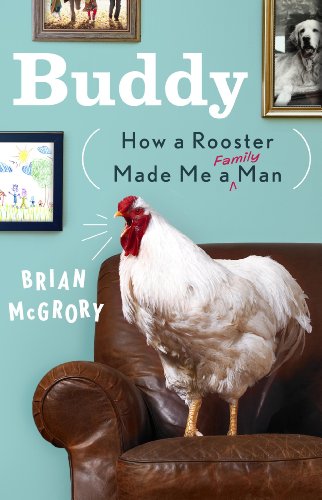 Buddy: How a Rooster Made Me a Family Man by Brian Mcgrory