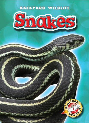 Snakes by Emily Green