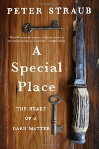 A Special Place: The Heart of a Dark Matter