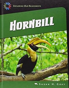 Hornbill