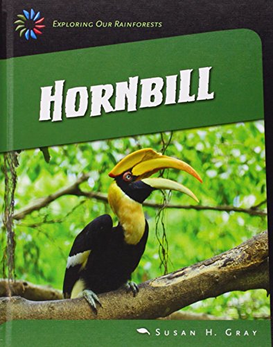 Hornbill by Susan Heinrichs Gray