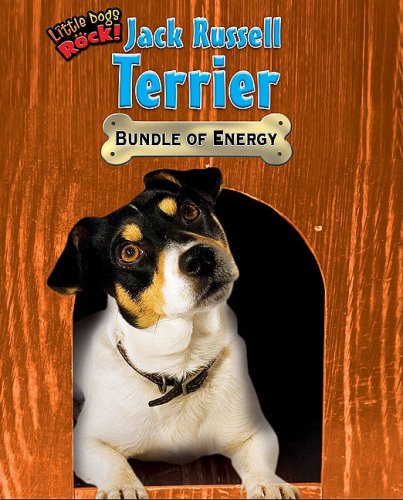 Jack Russell Terrier: Bundle of Energy (Little Dogs Rock!) by Natalie Lunis