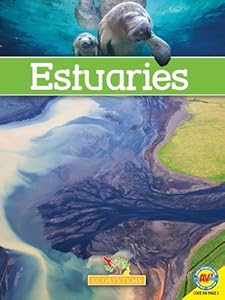 Estuaries
