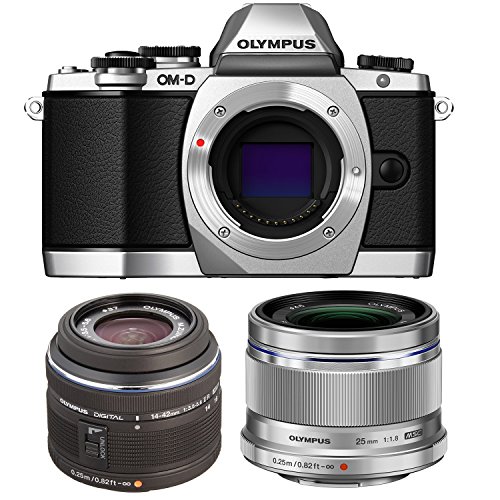 Algopix Similar Product 2 - Olympus OMD EM10 16 MP Mirrorless