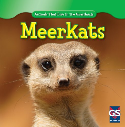 Meerkats by Therese Harasymiw
