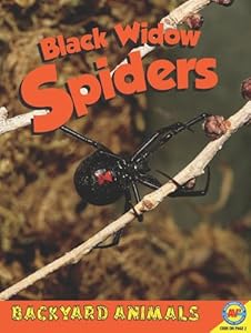Black Widow Spiders by Megan Kopp
